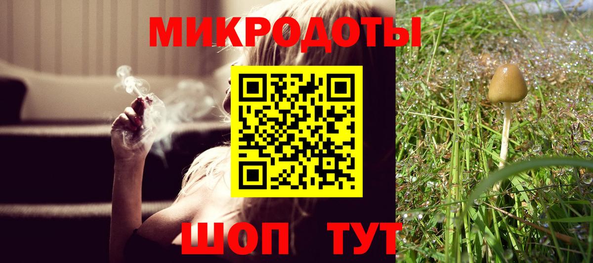 Галлюциногенные грибы прущие грибы  Псилоцибиновые грибы мицелий  Вход с VPN  Качканар 