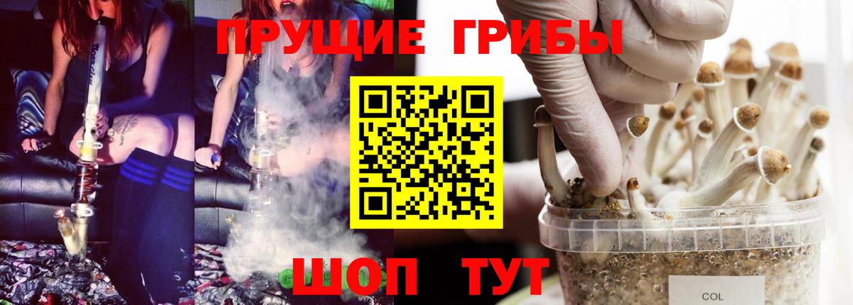 Галлюциногенные грибы Psilocybine cubensis Качканар
